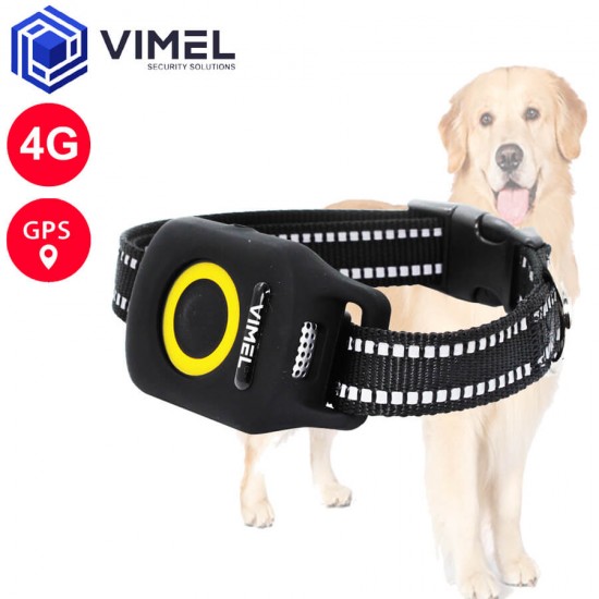 4G Portable Dog Real Time GPS Tracker Device
