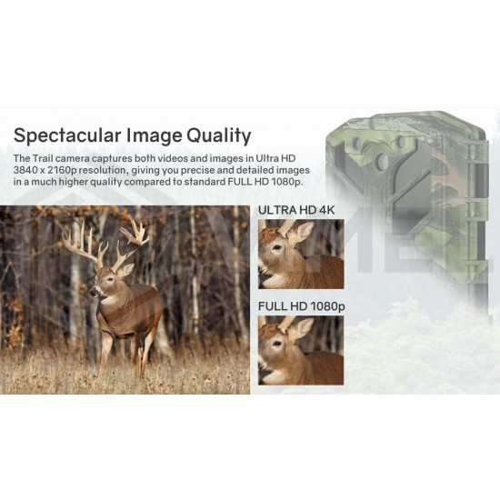 Wildlife Hunting Ultra HD 4K Trail Outdoor 30MP Camera 