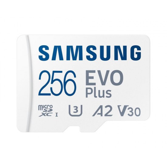Samsung 256GB Microsd class 10 EVO